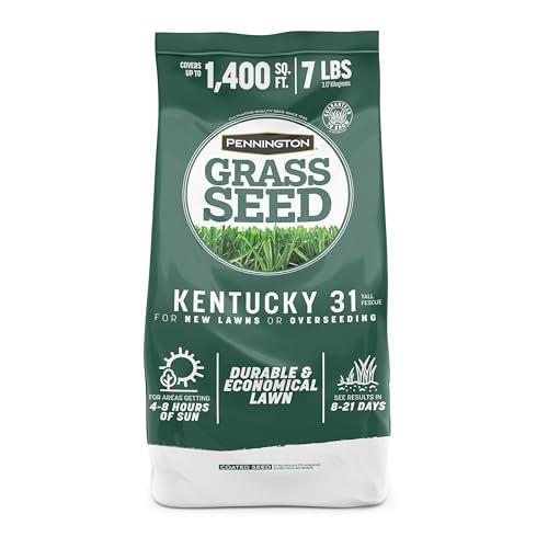 Pennington 100% Kentucky 31 Tall Fescue Penkoted Grass Seed 7 lb