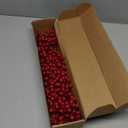 50Pack Christmas Tree Decorations Artificial Berry Stems Red Berry Picks for Xmas Winter Holiday Home Centerpieces and DIY Flower Arrangements Ornaments