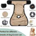 Female Dog Diapers - Premium Reusable Diapers for Doggie in Heat - Highly Absorbent for Pet Incontinence with Adjustable Snaps Black, M