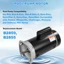 B2855/B2859 2HP Pool Pump Motor, 56Y Frame Swimming Pool Pump Motor | 115/230V, 3450 RPM, 303 Stainless Steel Shaft, Replacement Motor for Outdoor/Indoor Swimming Pool