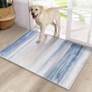 CRISTGEE Door Mat, Front Indoor Door Mat Faux Wool Non-Slip Entryway Rug Absorbent Abstract Throw Rug for Indoor Entrance Hallway Laundry Room, High Traffic Areas, 20X32 Inches, Blue Washable