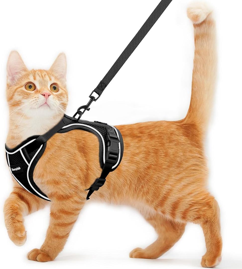 Cat Harness and Leash for Walking Escape Proof Soft Adjustable Cat Leash Breathable Comfortable Vest Easy to Wear Kitten Harness for Outdoor Travel, Black, M