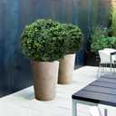 21-Inch Artificial Topiary Boxwood Ball Trees (Set of Two) Lifelike, UV-Resistant Decor for Indoor & Outdoor Use Enhance Your Space with Vibrant Greenery