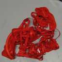 Lilosy Sexy Choker Floral Lace Scallop Sheer Underwire Push Up Garter Belt Lingerie Set 3 Piece (Red, XL)