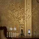 BAOLITVINE Lighted Branches Brown 32IN 200 Warm White Fairy Lights, Lighted Willow Branches with Timer, Dimmer for Home Bedroom Fireplace Christmas Decoration Inside Outdoor