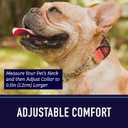 Leash Boss Martingale Collar for Dogs - Steel Chain | Reflective Nylon Dog Collar for Large Dogs, Medium and Small Dogs | No Pull Pet Training Collar Small (Medium-Large (16-19" Neck x 1" Wide), Purple/Pink - Space)