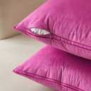 MIULEE Summer Hot Pink Velvet Throw Pillow Covers 20x20 Soft Decorative Solid Square Cushion Cases Pack of 2 Modern Luxury Home Decor for Couch, Sofa, Bedroom