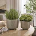 Home Decor Flower Pots and Planters – Ceramic Pots for Indoor and Outdoor Plants – Raised Design Pots for Plants that Enhance House Decor, Patio Decor, and Indoor Plant Stand Set of 2 – 9", 8" Cream