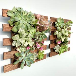 ShopLaLa Wall Planter - 2 Pack Wooden Hanging Succulent Wall Decor, Live Air Plants Orchids Wall Mounted Holder Frame Display for Indoor Outdoor, Living Plant Wall Decor Balcony Garden (29cm (11.4") x 2)