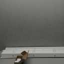 Lotus & Windoware Cordless, 2 Inch Faux Wood Blind, 33" Wide x 72" Long, Window Blinds, Blinds & Shades, Blinds for Indoor Windows, Embossed, Bright White