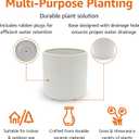 Amazon Basics Fluted Ceramic Round Planter with Drainage Hole, Indoor Outdoor Flower Pot, 10-inch, White