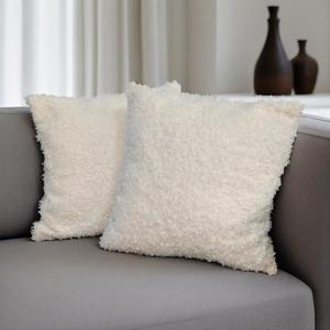 Throw Pillow Covers Set of 2, Faux Wool Teddy Boucle Textured Accent Pillows for Living Room Sofa,Modern Home Decor,White,20" x 20"