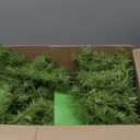 5.5 FT Whimsical Christmas Tree,Table Top Christmas Tree, Christmas Decorations for Home, Office, Party Decoration, 550 Branch Tips/170 Lights/Metal Base, Easy Assembly