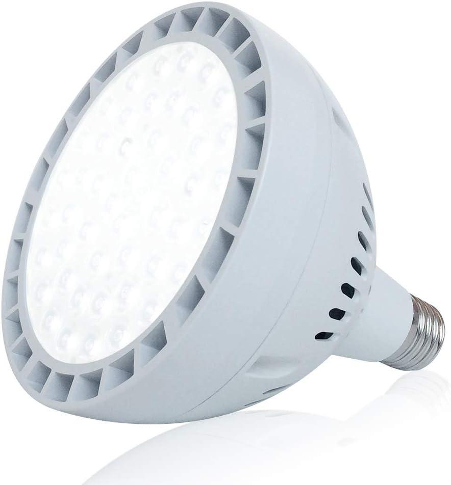 LED Pool Light Bulb for Inground Pool - White and Blue 120V 65W Pool Bulb Replacement for 500W Pentair Hayward Pool Light Fixture