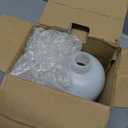 Tool Daily Foam Cannon with 1/4 Inch Quick Connector, 1 Liter, 5 Pressure Washer Nozzle Tips