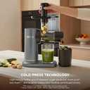 Ninja NeverClog Cold Press Juicer | Powerful Electric Slow Masticating Juicer with Pulp Control | XL Capacity | 24 oz. Juice Jug & 36 oz. Pulp Container | Dishwasher Safe | Charcoal | 150W | JC151