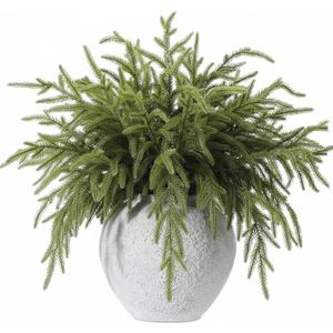 Giegxin 12 Pcs 19 Inch Real Touch Christmas Cedar Stem Modern Natural Bendable Artificial Greenery Norfolk Pine Branches Faux Fake Greenery Picks for Xmas Vase DIY Crafts Garland Wreath Decoration