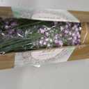 MARTINE MALL Babys Breath Artificial Flowers, 10 PCS Purple Baby Breath Flowers Artificial Bulk, Fake Babys Breath Gypsophila Real Touch Faux Babys Breath for Wedding Floral Arrangement Home Decor