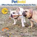 Petbobi Dog Tie-Out Cable and Stake - 20ft Heavy Duty Cable with Spring, No Tangle, 16in Ground Stake, Ideal for Yard, Camping and Beach, Suitable for Small Medium Large Dogs Up to 120 lbs, Blue