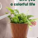 6 Inch Indoor Planter Pots with Drainage Hole and Tray Saucer,Flower Pots for Indoor Outdoor Garden Plants and Flowers, Multicolor, 5 Packs