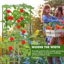 3 Pack Tomato Cages,Square Tomato Plant Stakes Support Cages Trellis for Garden Climbing Vegetables Flowers Fruits,Extra Bold (green)