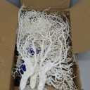 BEGONDIS 8 Pack Artificial Coral Ornament, Aquarium Plasitc Water Plants for Fish Tank Decorations