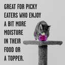 BIXBI Rawbble Shredded Chicken & Pumpkin Recipe Cans  Grain Free, Protein Rich Wet Cat Food  (2.75 Ounce Cans, Case of 24) (EXP 06/22/25)