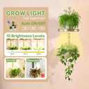 iDavosic.ly Wall Plant Holder with Grow Lights Set of 2 for Indoor Outdoor, Metal Hanger with 2 Hooks, Floating Flower Display Stand for Window, Space Saving & Easy to Assemble (Pots Not Included), Gold