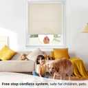 ChrisDowa Cordless Free-Stop100% Blackout Blinds for Windows, Roller Windows Shades with Thermal Insulated, UV Protection Fabric for Living Room, Office and Home.Beige,55" W X 72" H