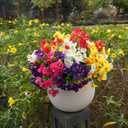 trytuny 20 Pcs Artificial Flowers for Outdoor, UV Resistant Realistic Pansies Fake Flowers for Indoor and Outdoor Garden, Porch, Patio, Window Box Decor All Year Round