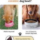 Fun Elements Ceramic Dog Bowls - Large, Non-Slip, 64 Fl Oz, Black with Adorable Dog Patterns (Large, Black)