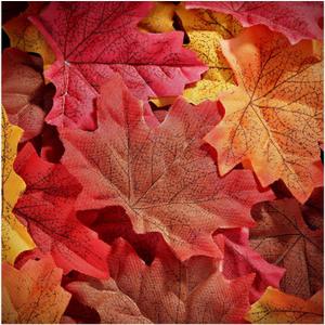 Whaline 300Pcs Fall Artificial Maple Leaves 3.35 Inch Fake Mixed Autumn Leaves Thanksgiving Table Decor Assorted Colors Faux Fall Leaves for Thanksgiving Weddings Festival Events Party Crafts