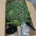 2 Pack Artificial Cypress Topiary Ball Trees with Ground Spike, 24" Norfolk Fake Bushes Shrubs UV Resistant Faux Plants Greenery for Outdoor Planters Garden Front Porch Pot Urn Fillers Spring Decor