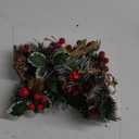 Crafare 15 Pack Small Christmas Picks Assorted Size Red Berry Picks Stems with Pinecones for Christmas Holiday Floral Arrangement Winter Holiday Season Decoration (5in-9in berry stem picks)