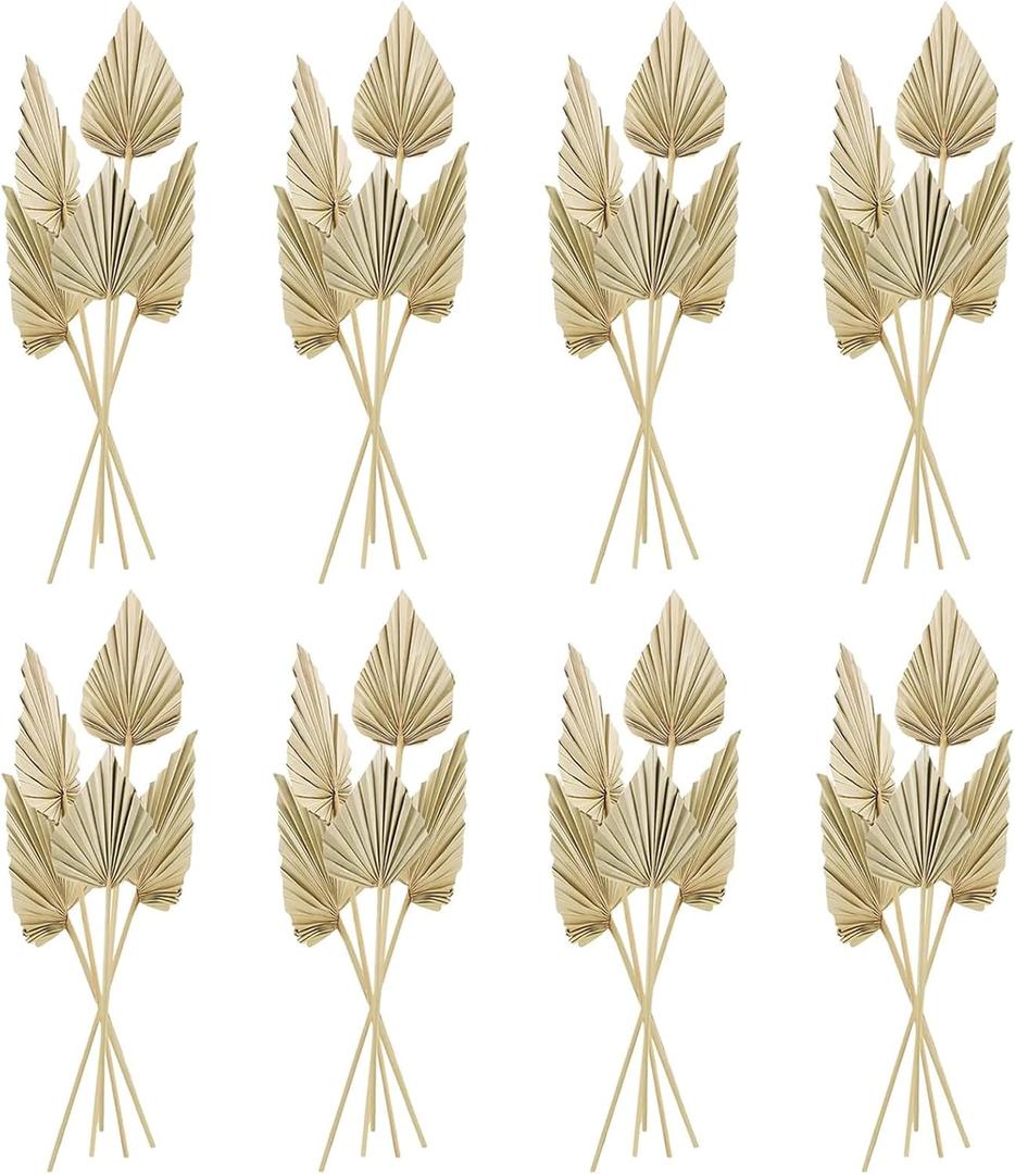 Cenkaiyang 40 Pcs Boho Dried Palm Spears Leaves, Real Palm Fans with Stem, Natural Dried Leaf Boho Home Decor for Vase, Wedding, Office, Home (40 Pieces)