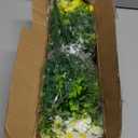 Grunyia Outdoor Artificial Flowers UV Resistant & Fade Proof, 12 Pack Realistic Fake Flowers for Garden, Patio, Lawn Decor - Weatherproof Plastic Plants(Mix)