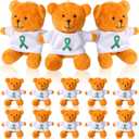 Blueweenly 18 Pcs Bulk Mental Health Awareness Bear 4 Inch Green Ribbon Plush Toys Green Mental Health Awareness Ribbon Bear Gifts for Volunteer Charity Fundraiser Event Supplies