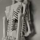 JOYIN 2 PCS 24 Halloween Skeleton Decor, 2 FT Full Body Stayable Posable Skeletons for Halloween, White Human Plastic Bones with Movable Joints for Spooky Indoor Outdoor Decoration, Graveyard Prop