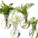 Plastic Propagation Vases (4 Bulbs),Desktop Plant Terrarium for Indoor Plants - Hydroponics Containers for Home Office Desk Decor, mini Gardening Gifts for Women Who Love Plants (4PCS)
