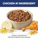 Hill's Science Diet Puppy Large Breed Dry Dog Food, Chicken & Brown Rice, 27.5 lb. Bag (EXP 10/20/26)
