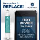 GE RPWFE Refrigerator Water Filter, Genuine Replacement Filter, Certified to Reduce Lead, Sulfur, and 50+ Other Impurities, Replace Every 6 Months for Best Results, Pack of 1