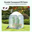 VIVOSUN 39x39x63-Inch Portable Walk-in Greenhouse, with PVC Cover & Detachable Base, Instant Pop-up and Folding, Mini Greenhouse with Roll-Up Door & Mesh Window for Indoor Outdoor, Wind Ropes Included