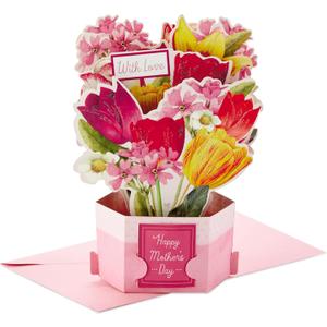 Hallmark Paper Wonder Mother's Day Pop Up Card (Marjolein Bastin Bouquet)