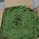 Christmas Norfolk Pine Wreath, 24 Inch Pine Wreath, Christmas Wreaths for Front Door, Large Artificial Green Wreaths for Walls Windows Porches Farmhouse Indoor Outdoor Home Decor