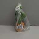 Dancing Talking Cactus Toy for Baby Boys Girls Toys, Adjustable Volume Dancing Cactus Toy Singing Mimicking Recording Repeating What You Say with LED English Sing Talking 15 Second Voice Recorder