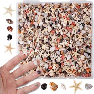 2 x PPCLION 50pcs Tiny Strarfish&2000Pcs Tiny Mini Small Clam Sea Shells for Crafting Spiral for Crafts Charms Home Decorations Candle Decor DIY Fish Tank and Beach Vase Filler