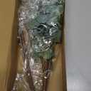 Preserved silver dollar eucalyptus, silver dollar eucalyptus, burgundy, green, blue eucalyptus for garlands, greenery for weddings