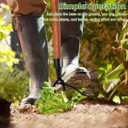 2 x DSWINCE Stand Up Weed Puller Head Replacement Weed Picker Tool Gardening Hand Tools for Dandelion, Weeder Root Tool No Bending Weeder,for Backyard Lawn Patio -NO Handle