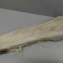 40" inch 20 Stems Natural Pampas Grass Decor Tall, Pompas Grass, Tall Pampas Grass for Wedding, Party, Farmhouse, Boho Home Decor