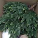 3FT Artificial Cedar Topiary Trees Set of 2 Detachable Planter & Spike,UV Resistant Faux Plants Outdoor and Indoor,Realistic Fake Bushes Pine Tree for Front Porch Decor Patio Offices Living Room (Green)